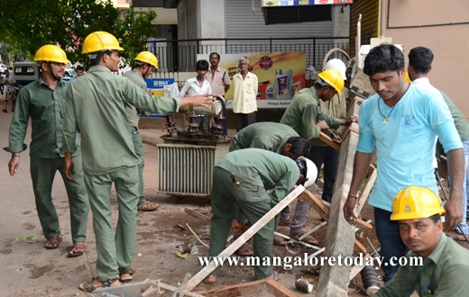 peepal tree karangalpady